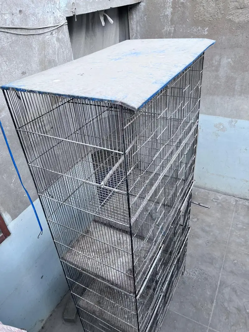 cage for sale 12 portion — photo 7
