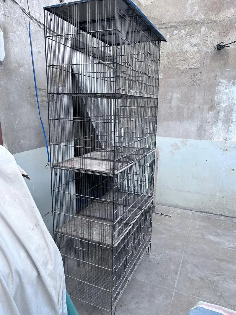 cage for sale 12 portion — photo 8