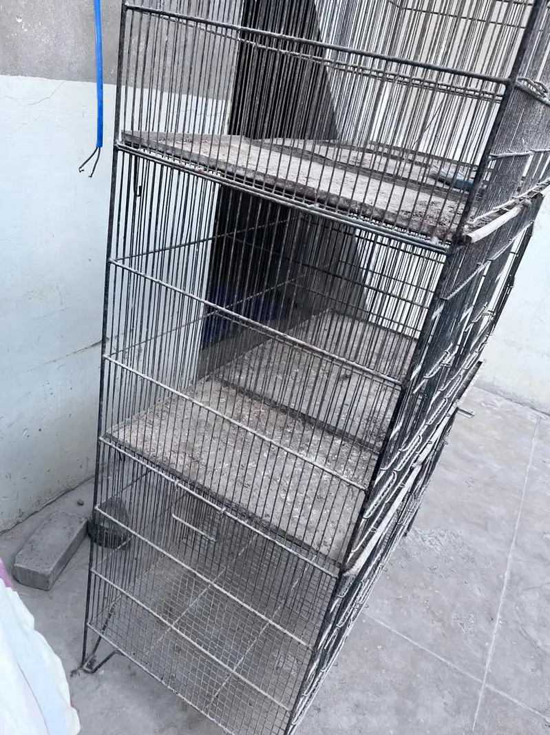 cage for sale 12 portion — photo 9