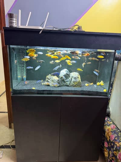3 fit aquarium with sum filter