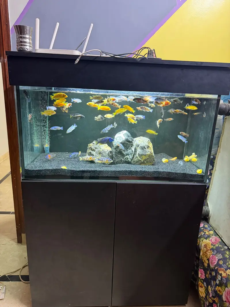 3 fit aquarium with sum filter