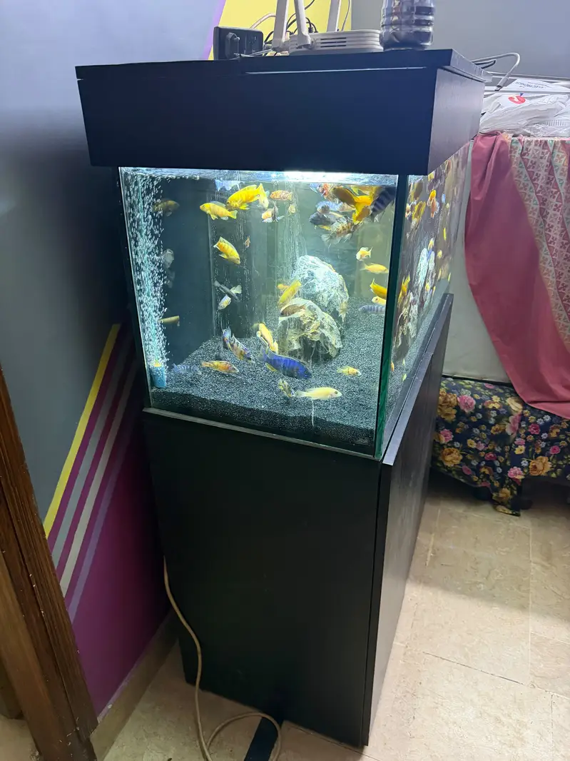3 fit aquarium with sum filter — photo 4