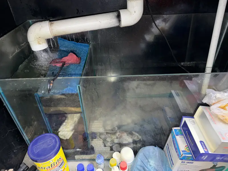 3 fit aquarium with sum filter — photo 5