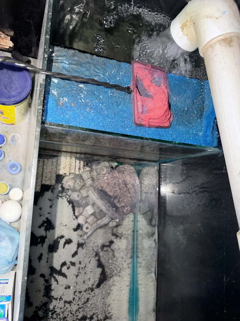 3 fit aquarium with sum filter — photo 6
