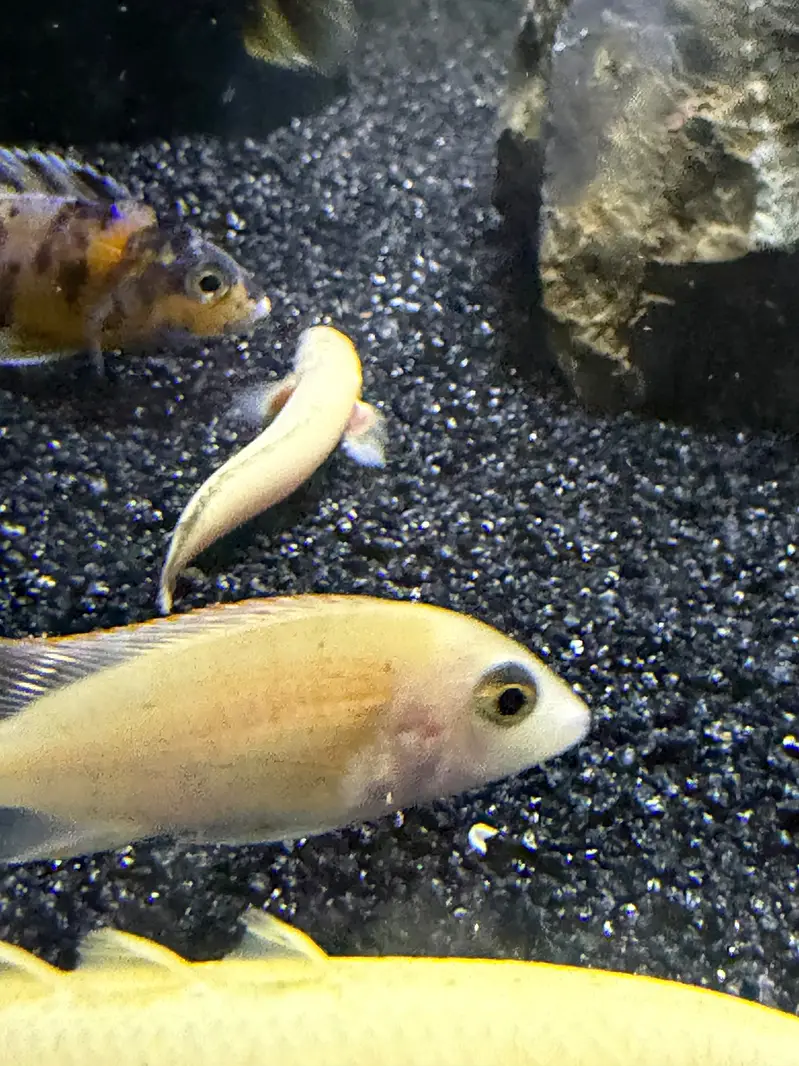 3 fit aquarium with sum filter — photo 7
