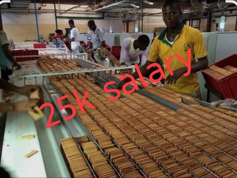 need workers 1