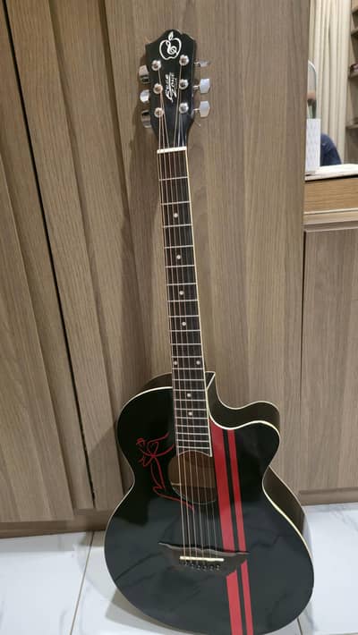 Guitar Model FZ318