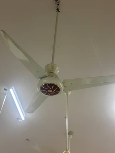 Ceiling fan AC/DC Air Plus 56’’