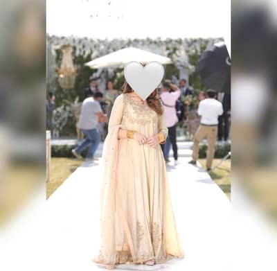 Long dress. Peshwas style