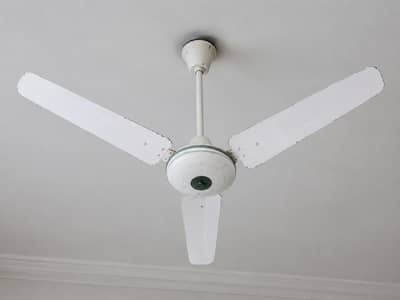 CEILING FAN FOR SALE