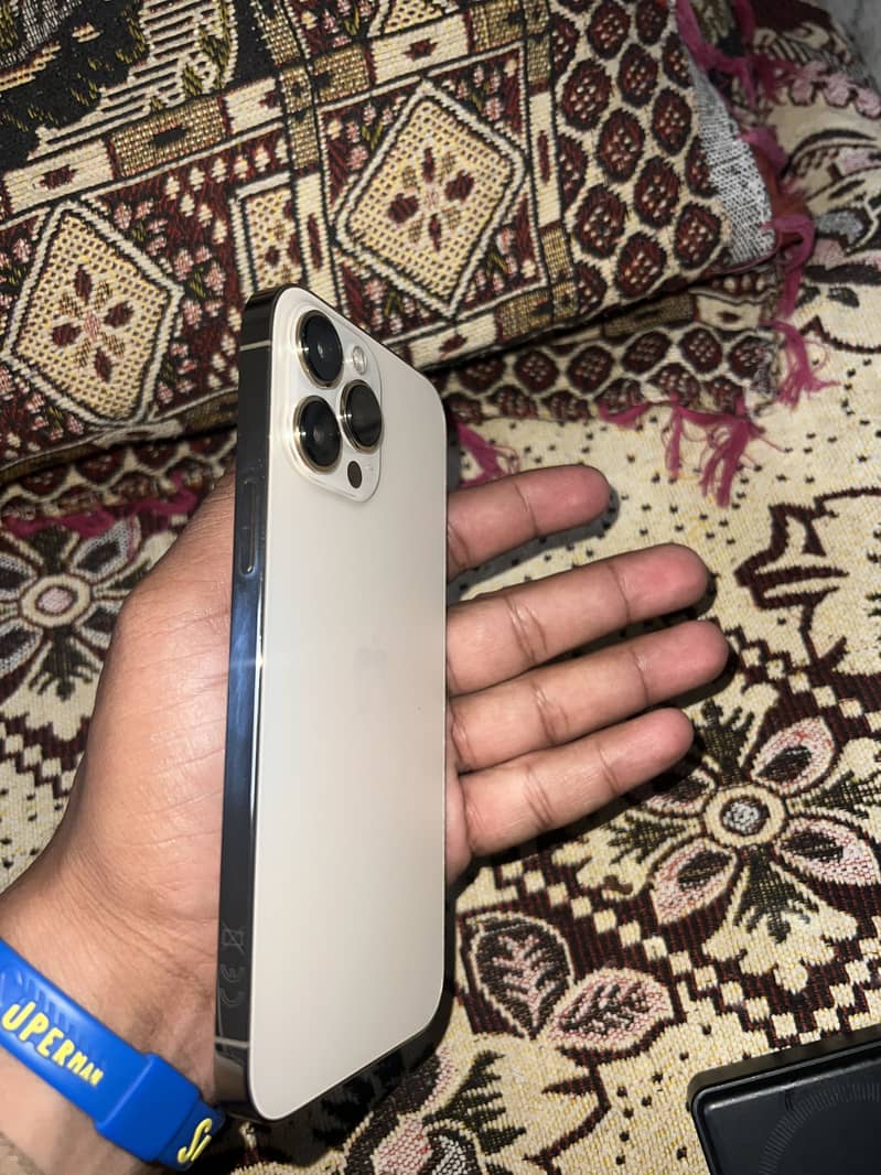 Apple iPhone 13 Pro Max 2