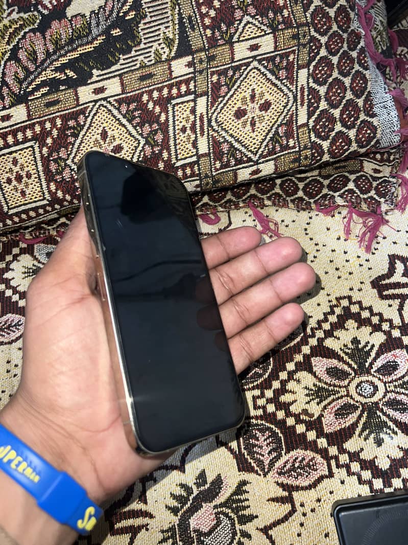 Apple iPhone 13 Pro Max 3