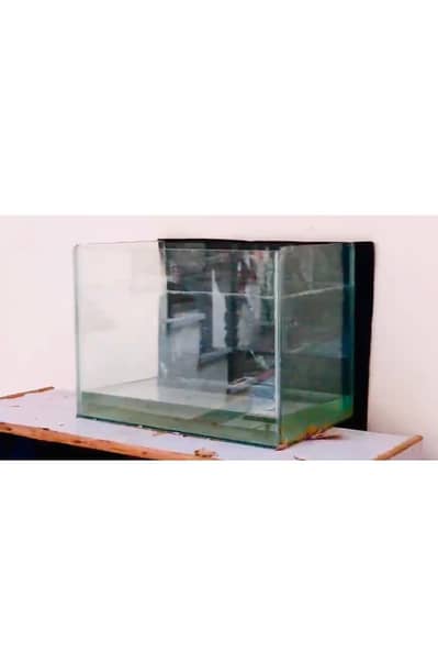 2x2 Feet Glass Aquarium Tank Only - No Fish, Jhelum