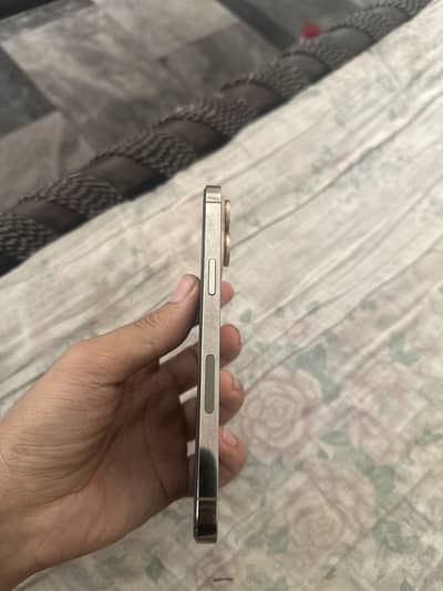 14 pro max buypass 256 gb