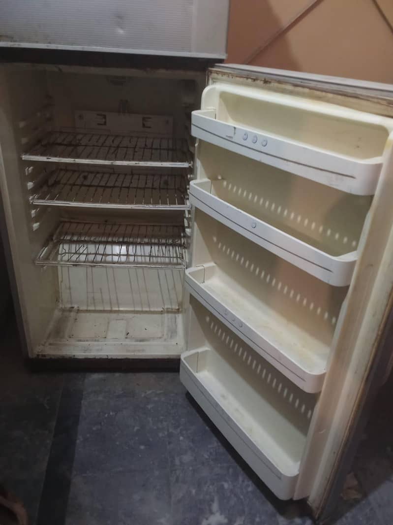 Dead Fridge 1