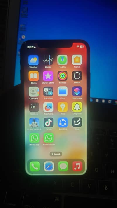 Apple iPhone X factory unlocked