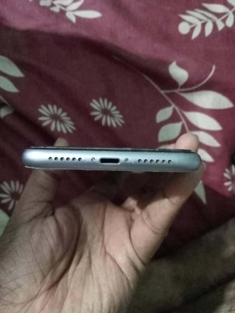 Apple iPhone 11 3