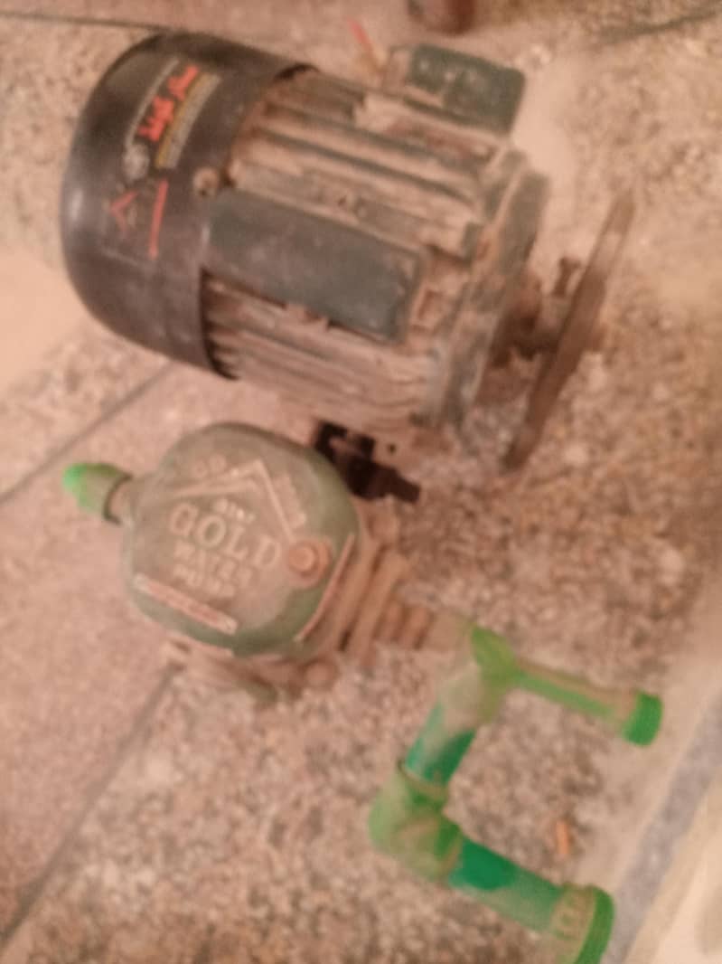 danky pump 0