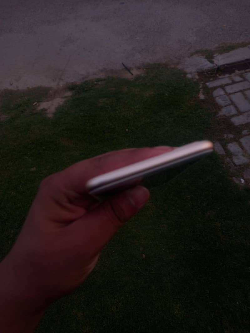 256 gp 5