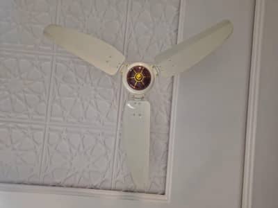 7 royal fan same model