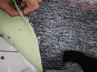 carpet
