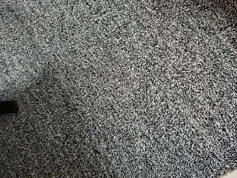 carpet 1