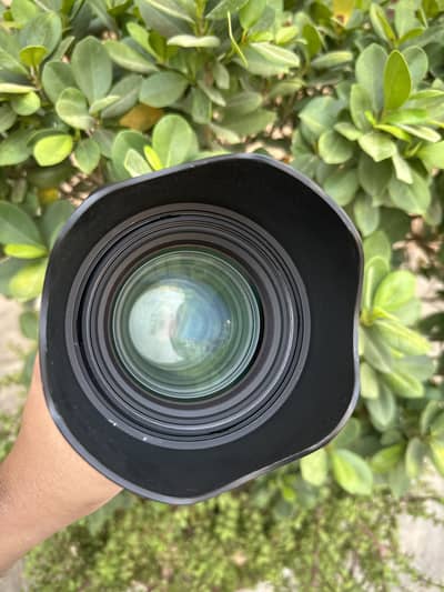 Sigma 85mm 1.4 canon mount