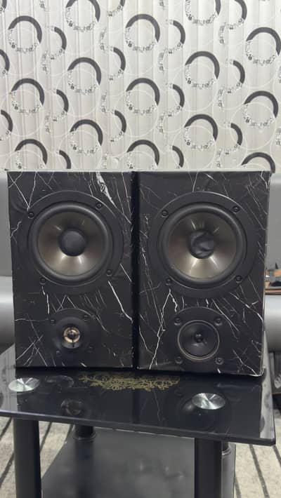 Sony 8inch speaker