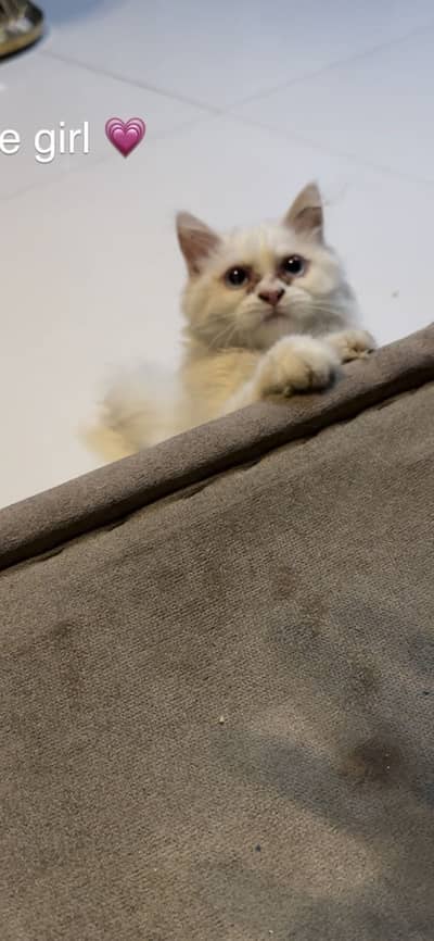 Cute little