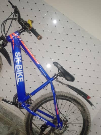 the bicycle