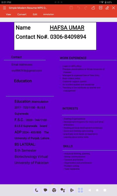 (Data entry and WPS office)specialist Remote work(VU Student)