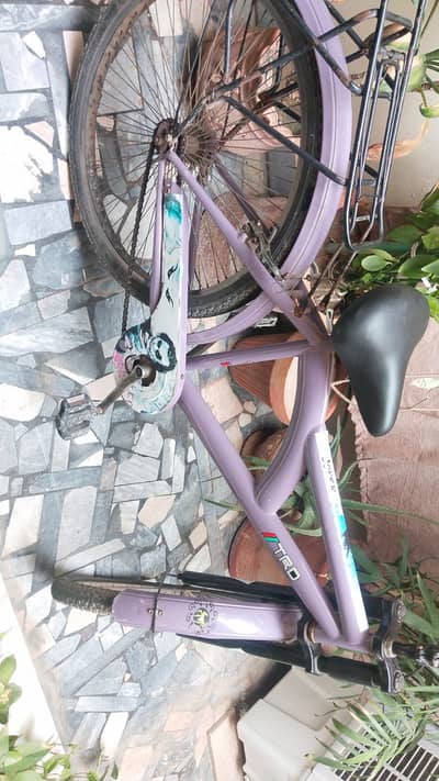 Bicycle for 10-12 years old