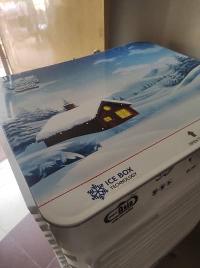 Air cooler