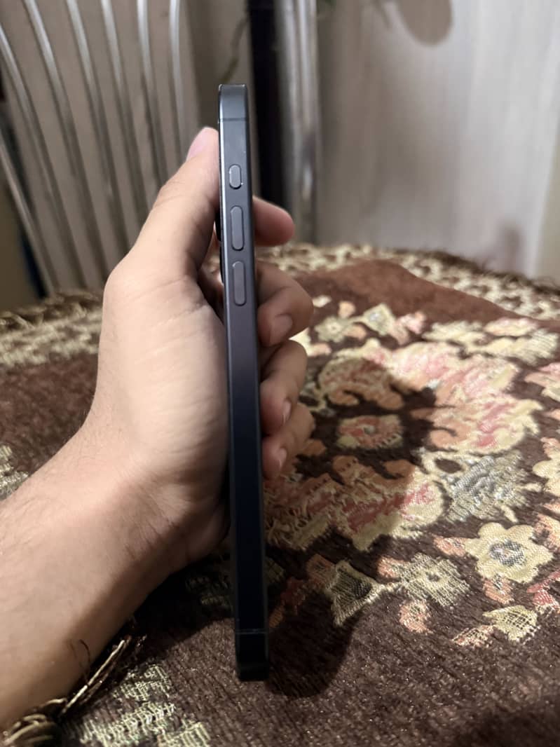 15 pro max 1