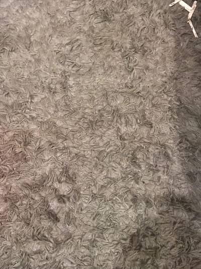 used imported carpet
