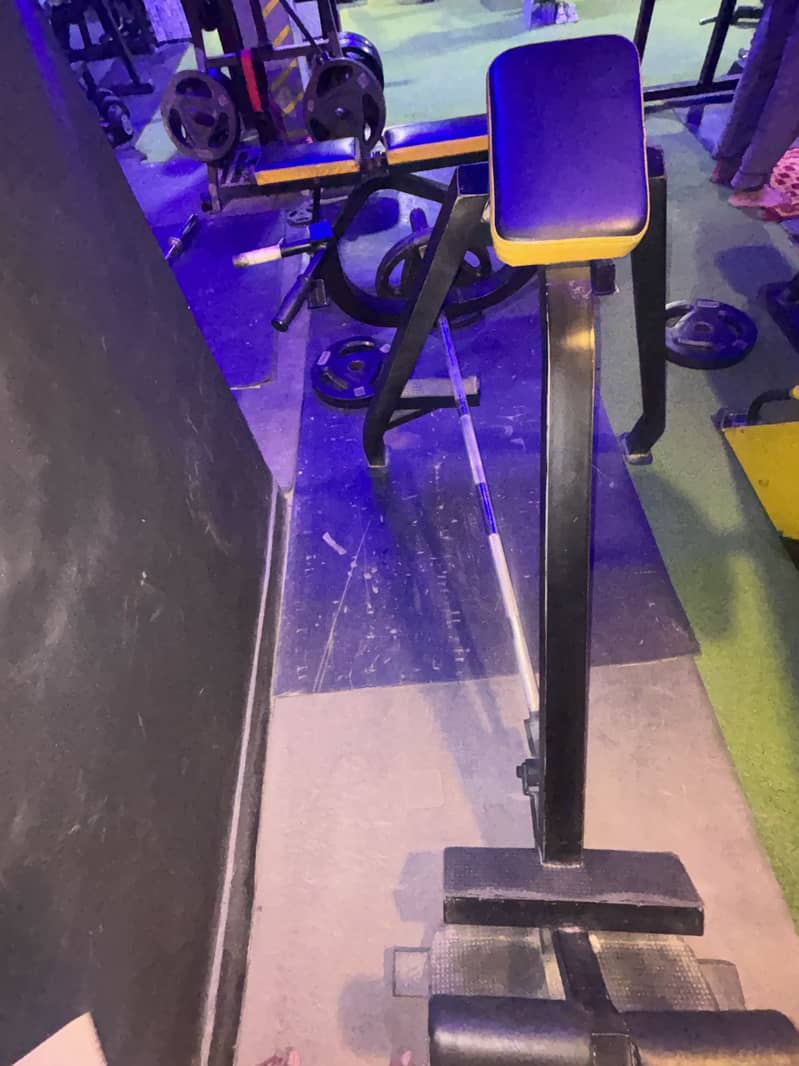 Back pully 5