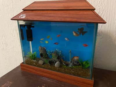 Aquarium for Sale 