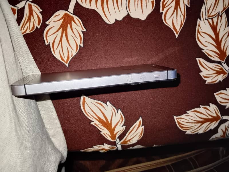 Apple iPhone 5s 3