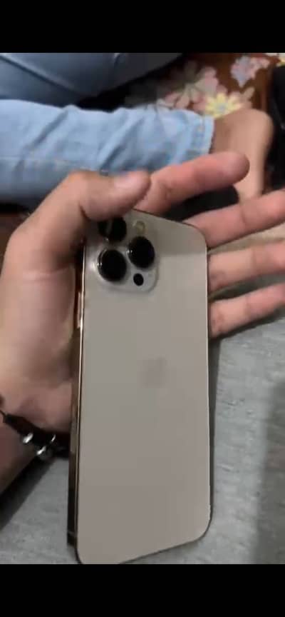 Apple iPhone 13 Pro Max