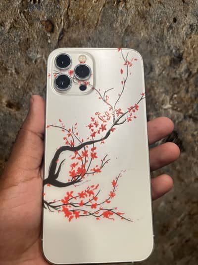 Apple iPhone 12 Pro Max