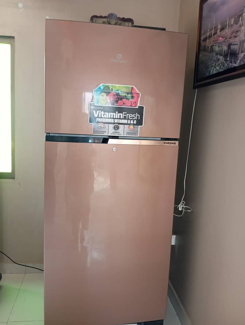 large fridge 1