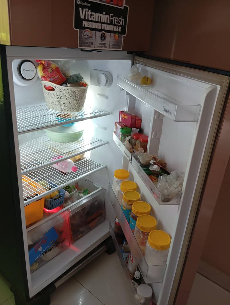 large fridge 2