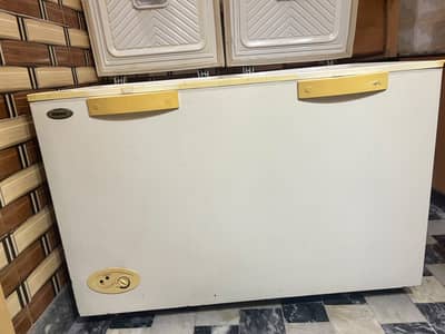 Waves Freezer 2 door
