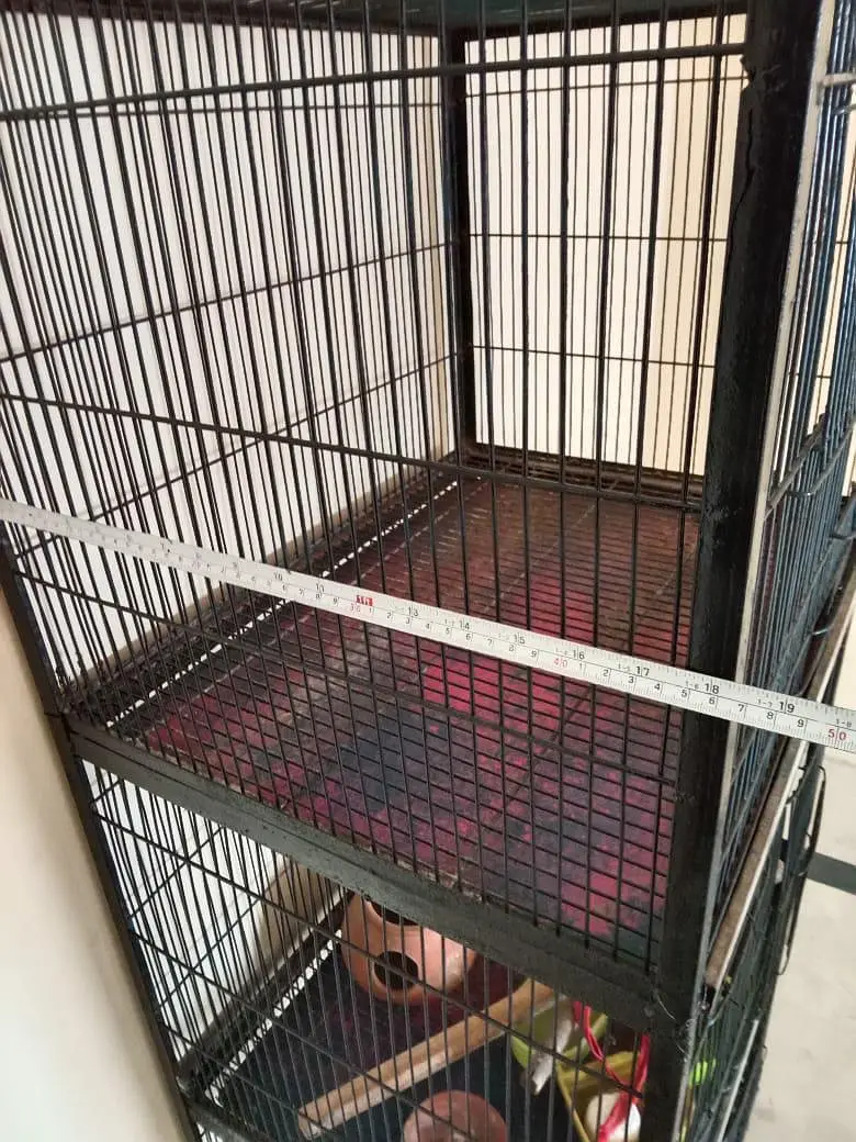 3 portion bird cage — photo 2