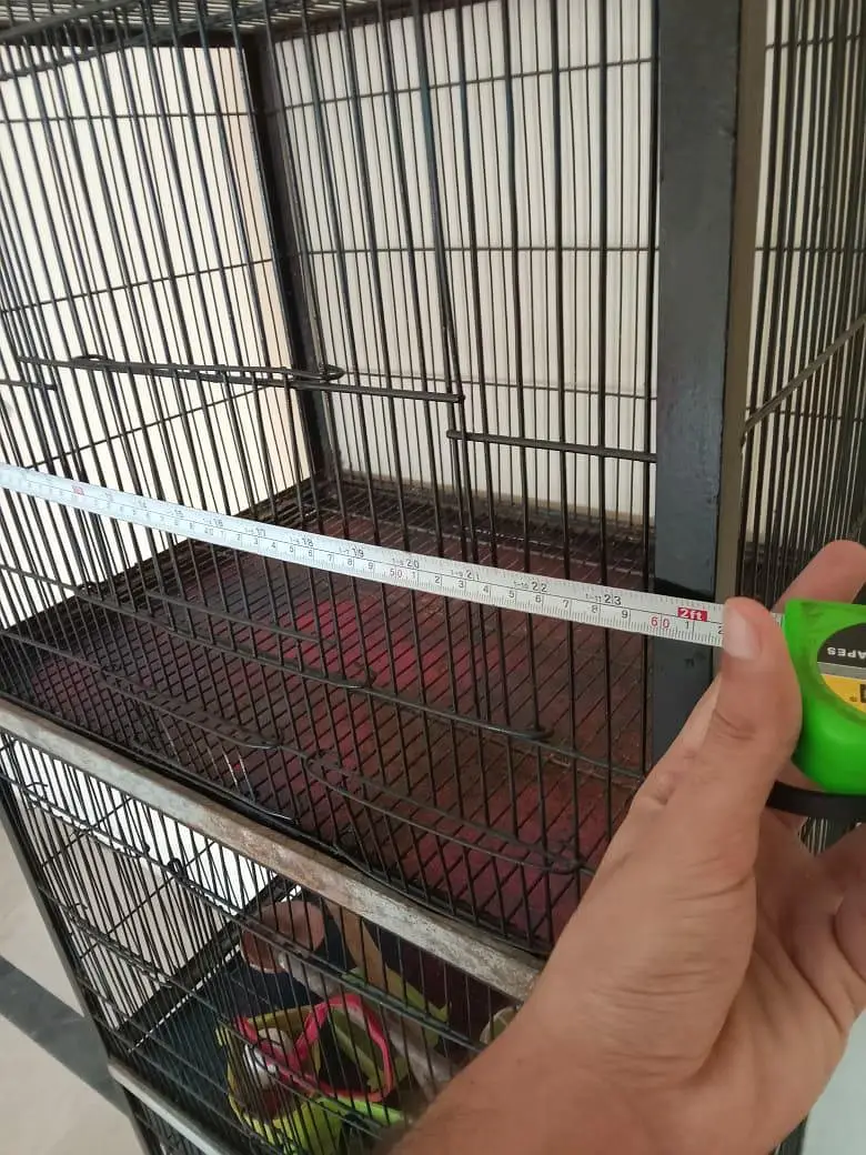 3 portion bird cage — photo 3