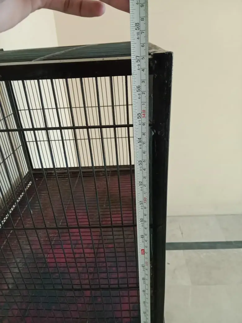 3 portion bird cage — photo 4