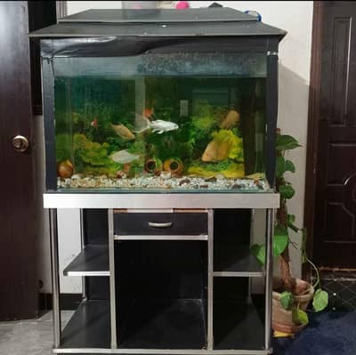 Aquarium