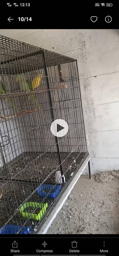 Cage For Sale