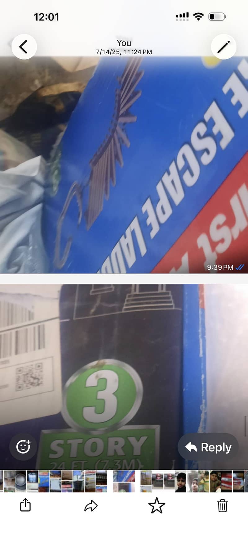 Ladder imported 7