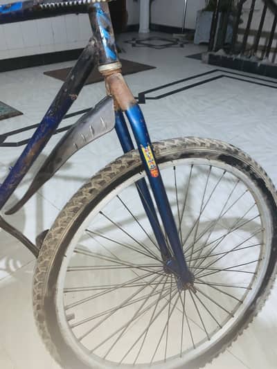 I  am selling this cycle